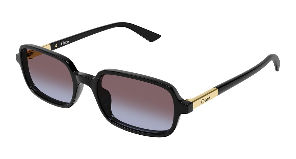Chloé CH0363S 001 53