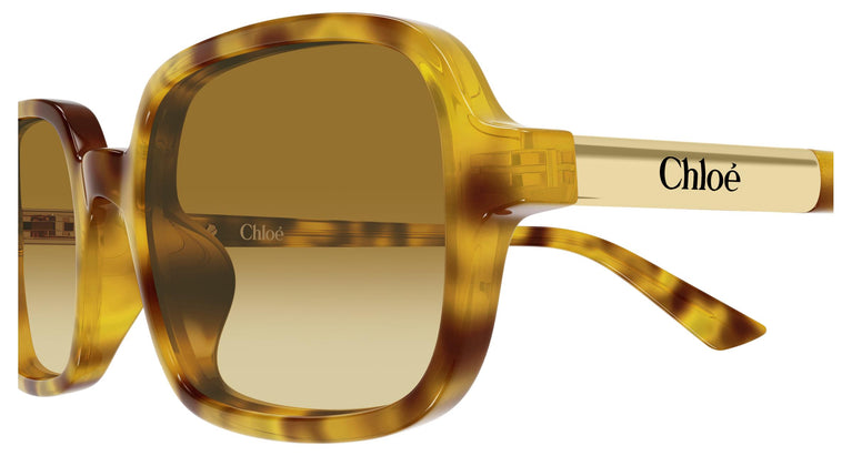 Chloé CH0363S 004 53