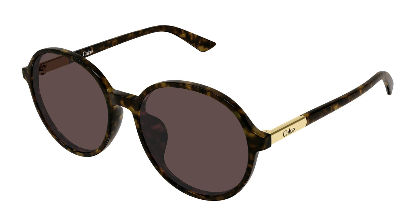 Chloé CH0365SK 002 57