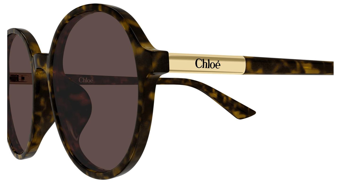 Chloé CH0365SK 002 57