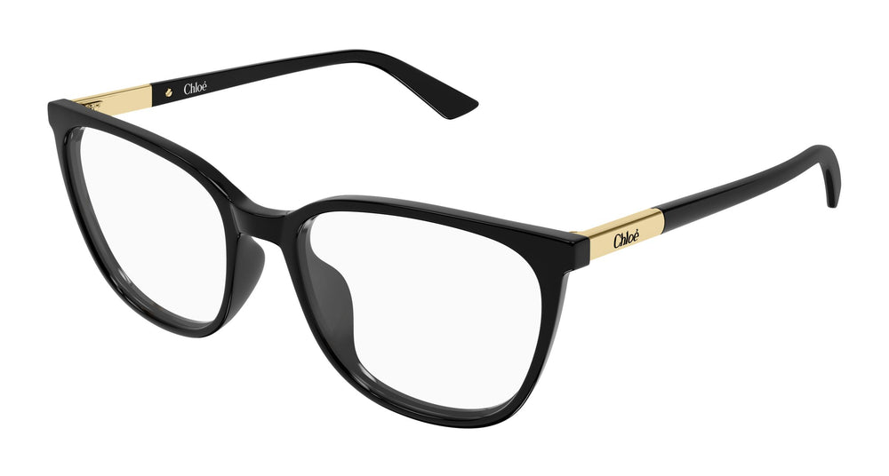 Chloé CH0370OL 001 53