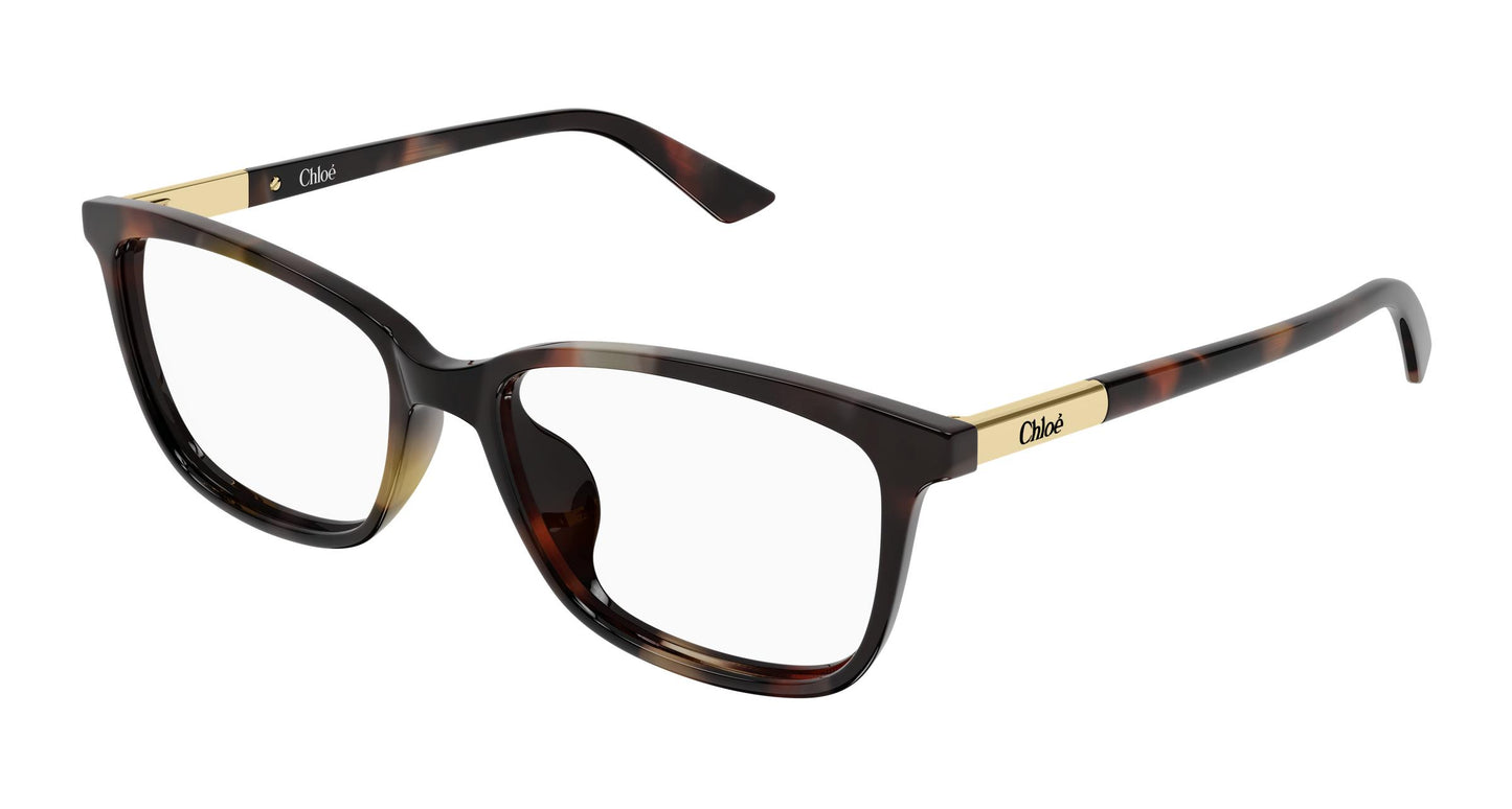 Chloé CH0371OA 002 55