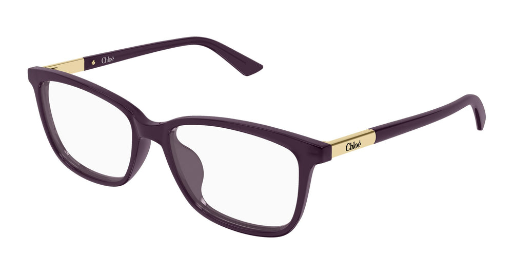 Chloé CH0371OA 004 55