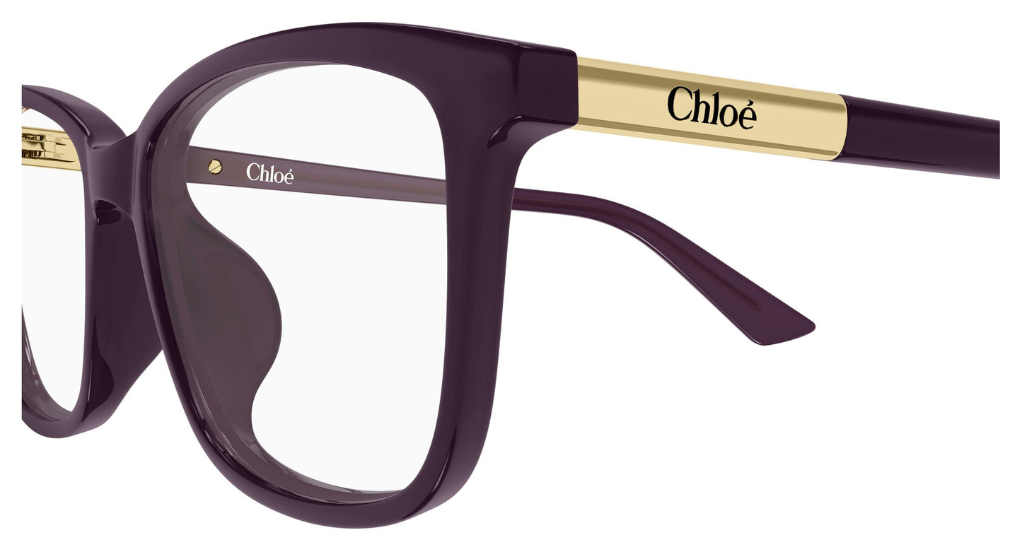 Chloé CH0371OA 004 55