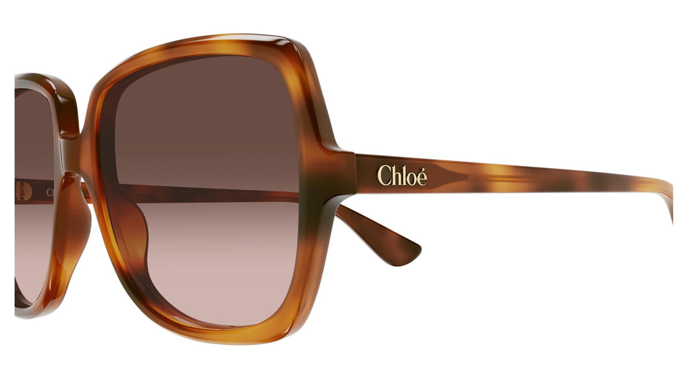 Chloé CH0388S 002 59