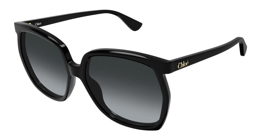 Chloé CH0389S 001 61