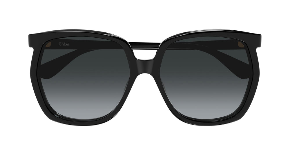 Chloé CH0389S 001 61