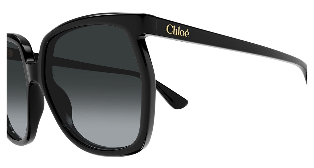 Chloé CH0389S 001 61