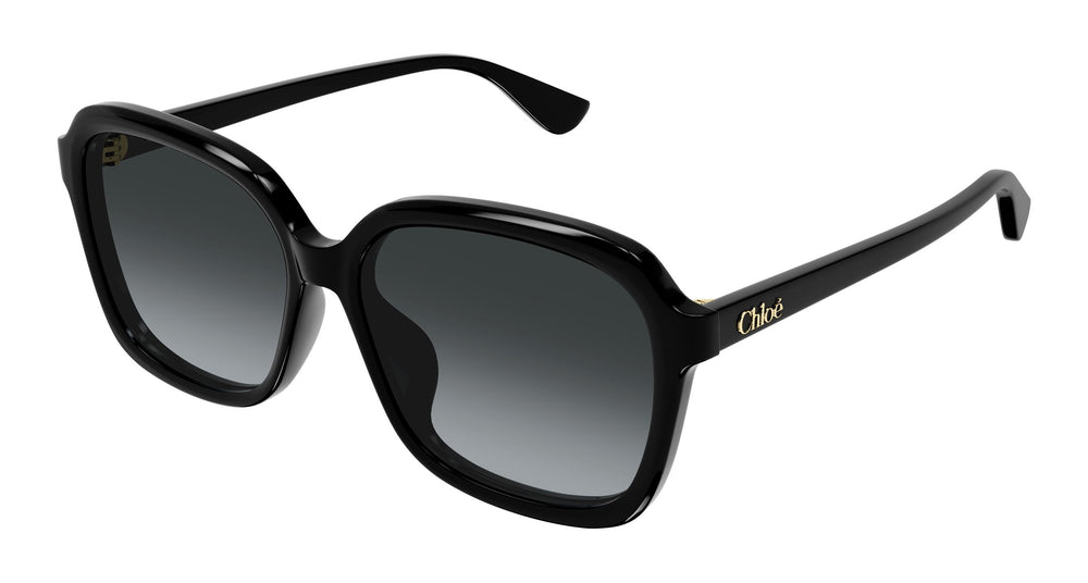 Chloé CH0390SK 001 59