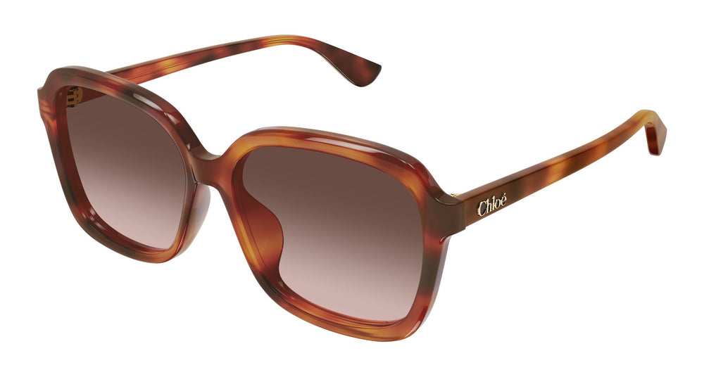 Chloé CH0390SK 002 59