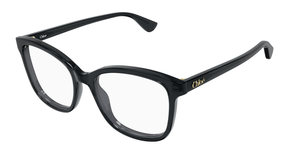 Chloé CH0393O 001 54