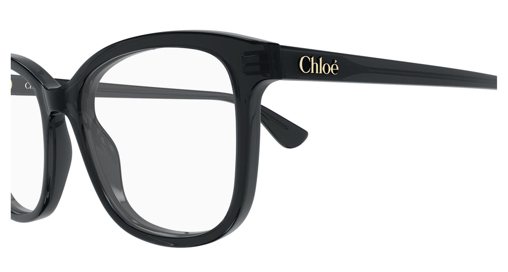 Chloé CH0393O 001 54