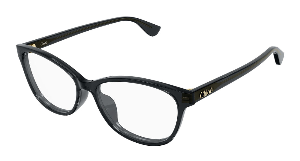 Chloé CH0394OL 001 55
