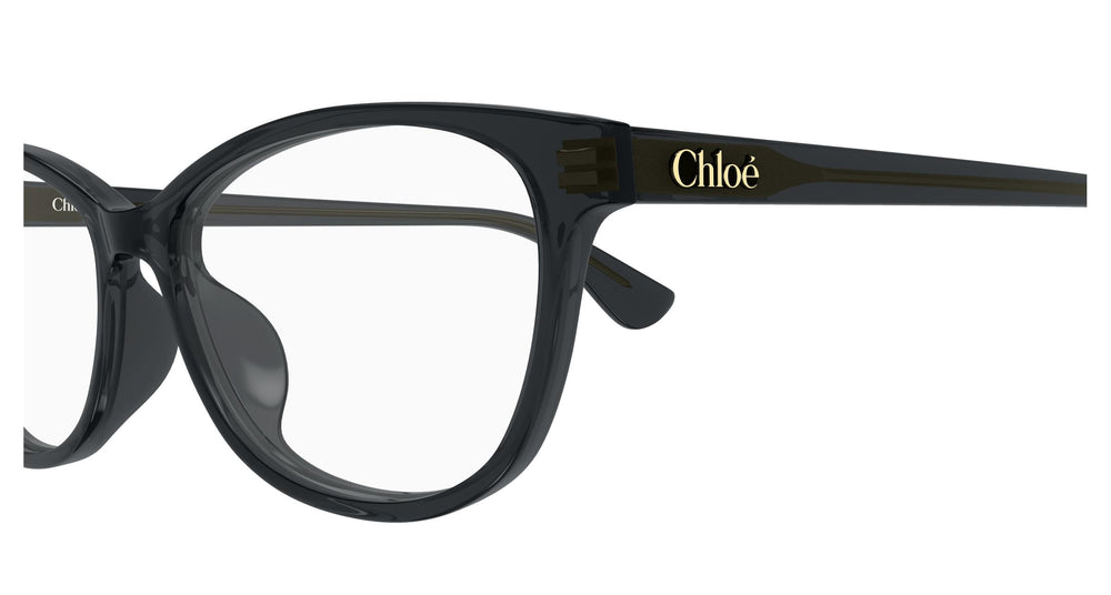 Chloé CH0394OL 001 55