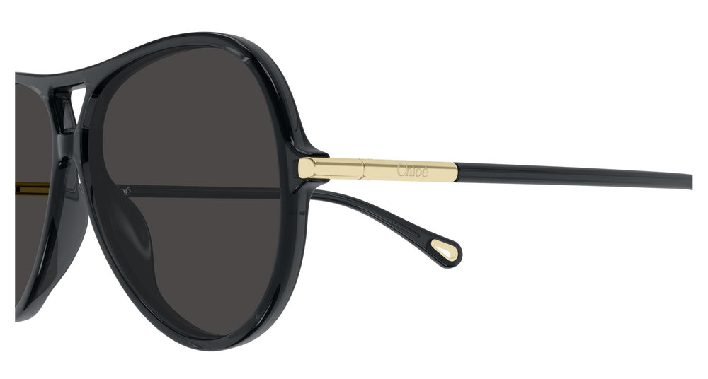 Chloé CH0395S 001 59
