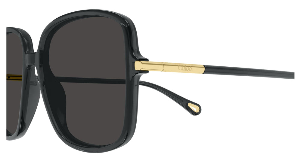 Chloé CH0396S 001 57