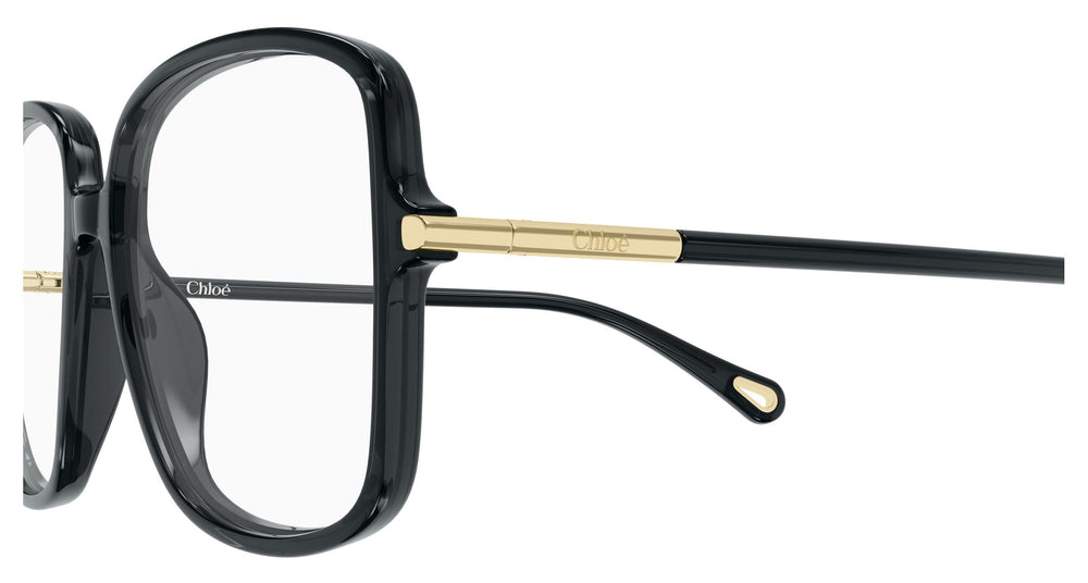 Chloé CH0399O 001 56