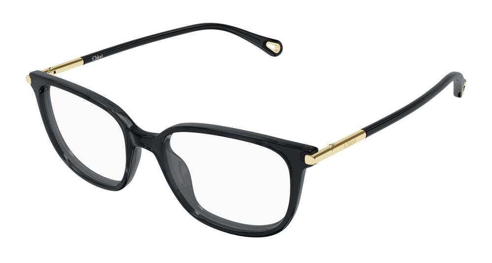 Chloé CH0400O 001 53