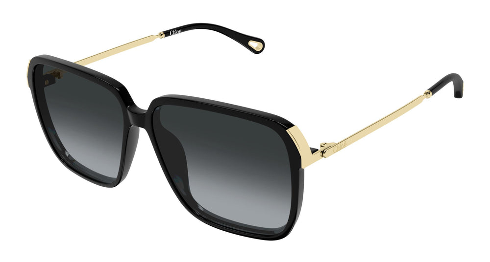 Chloé CH0405S 001 59