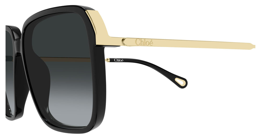 Chloé CH0405S 001 59