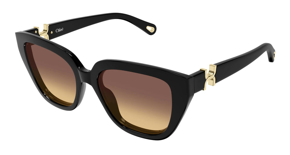 Chloé CH0410S 001 53