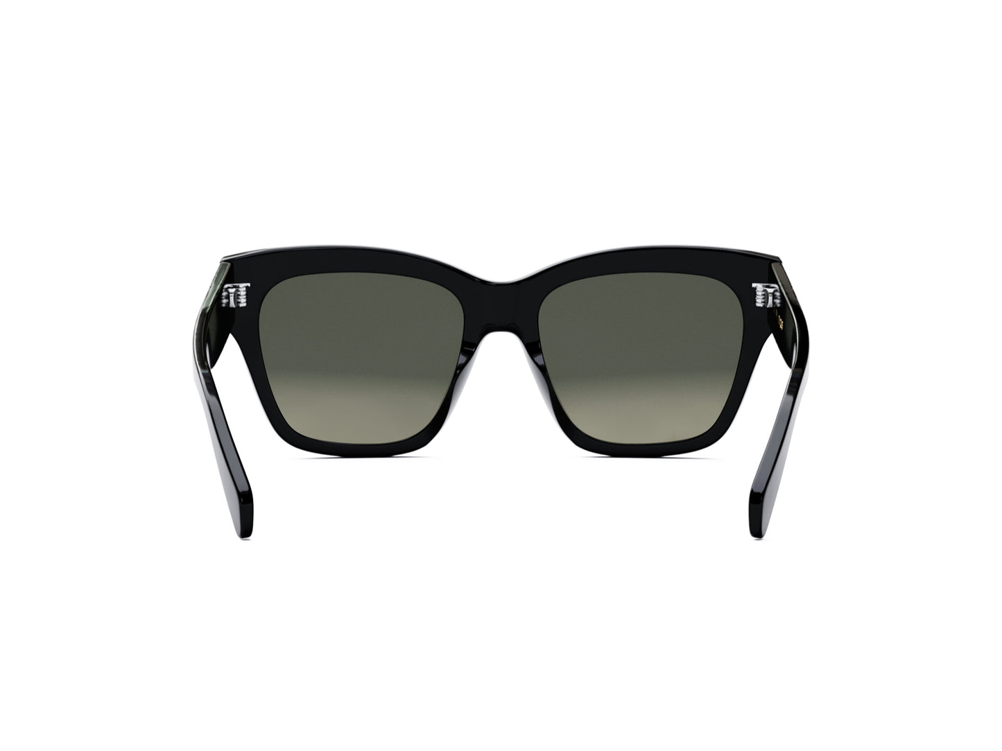 CELINE TRIOMPHE CL40253I 01F 55