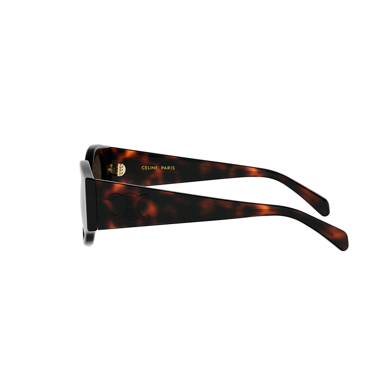 CELINE TRIOMPHE STAMP CL40341U 52F 50