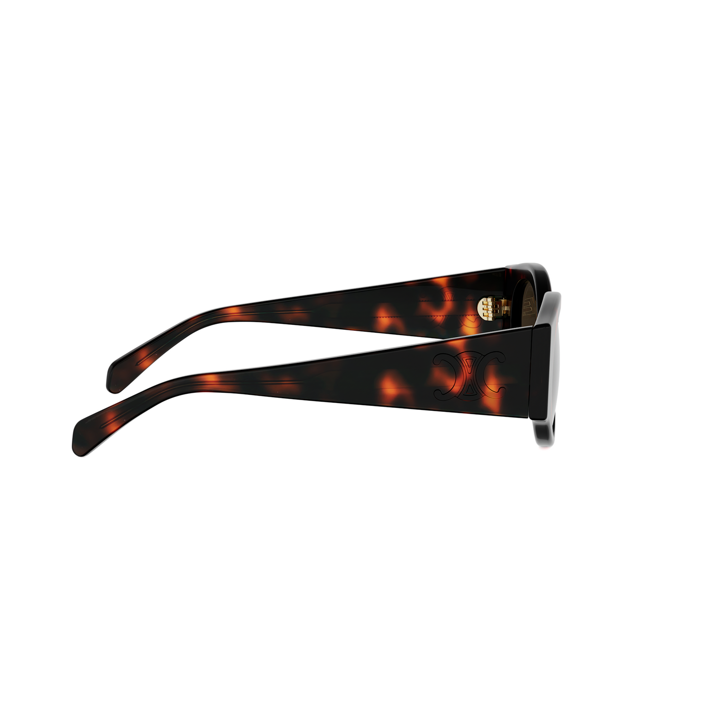 CELINE TRIOMPHE STAMP CL40341U 52F 50
