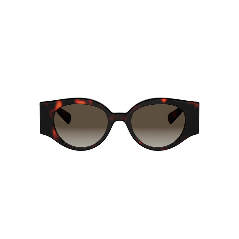 CELINE TRIOMPHE STAMP CL40341U 52F 50