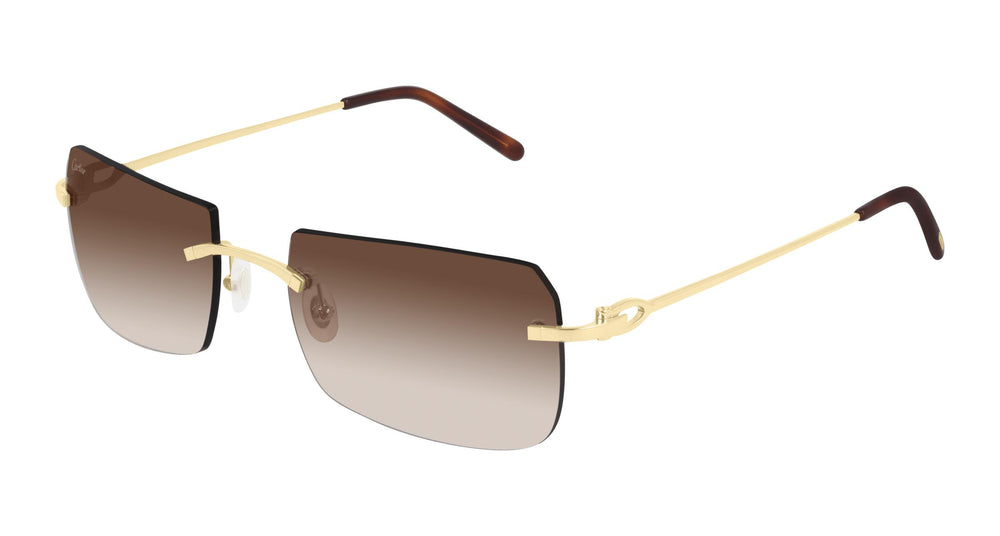Cartier CT0006RS 001 56