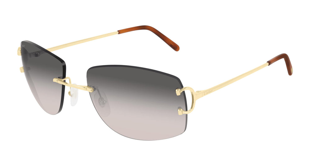 Cartier CT0008RS 001 57