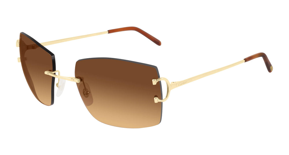 Cartier CT0009RS 001 57