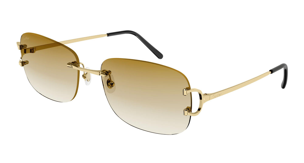 Cartier CT0011RS 002 58