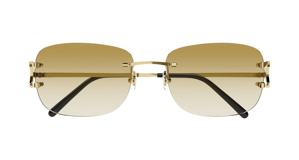 Cartier CT0011RS 002 58