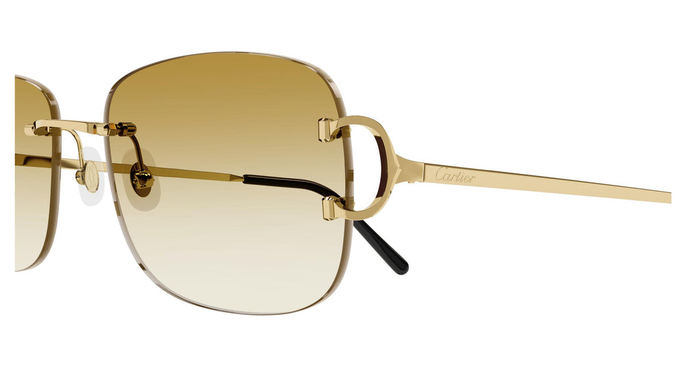 Cartier CT0011RS 002 58