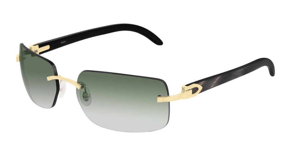 Cartier CT0022RS 001 59