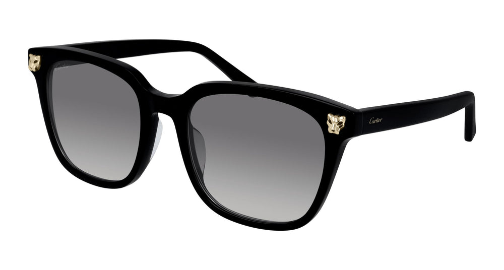 Cartier CT0143SA 001 56