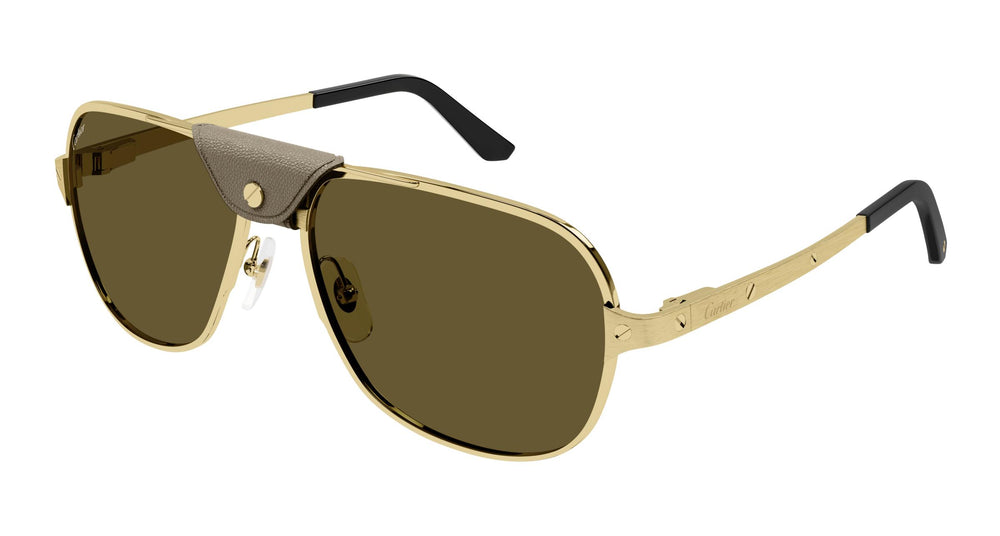Cartier CT0165S 011 60