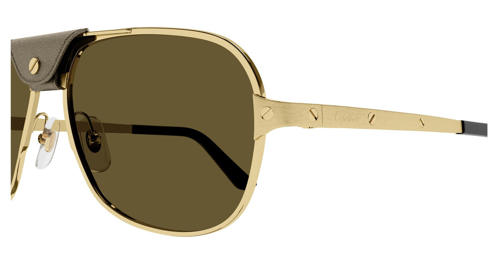 Cartier CT0165S 011 60