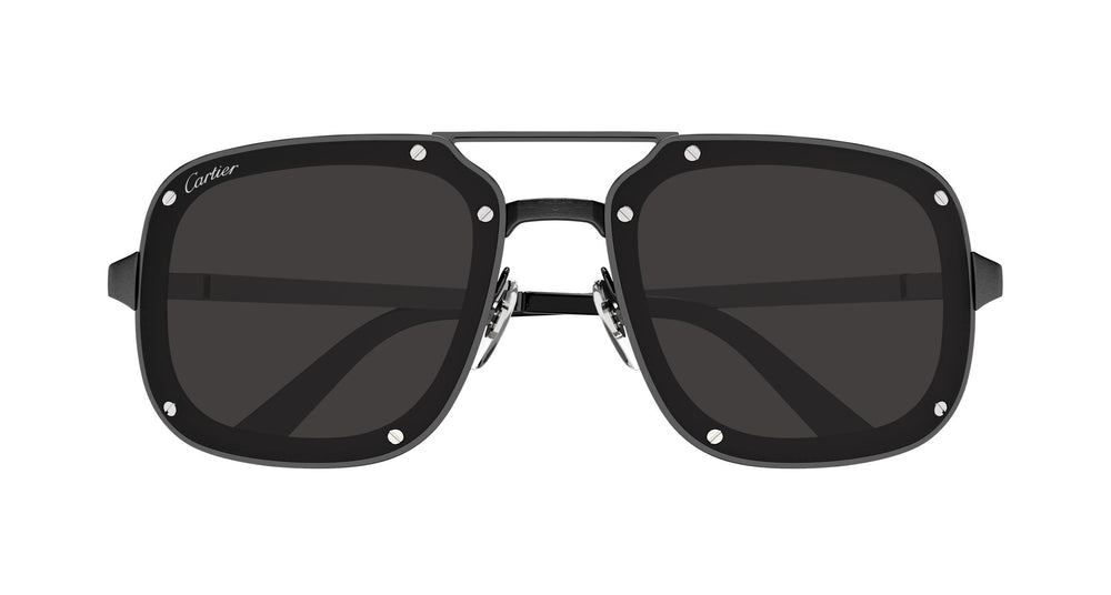 Cartier CT0194S 004 58