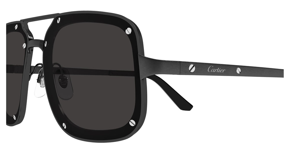 Cartier CT0194S 004 58