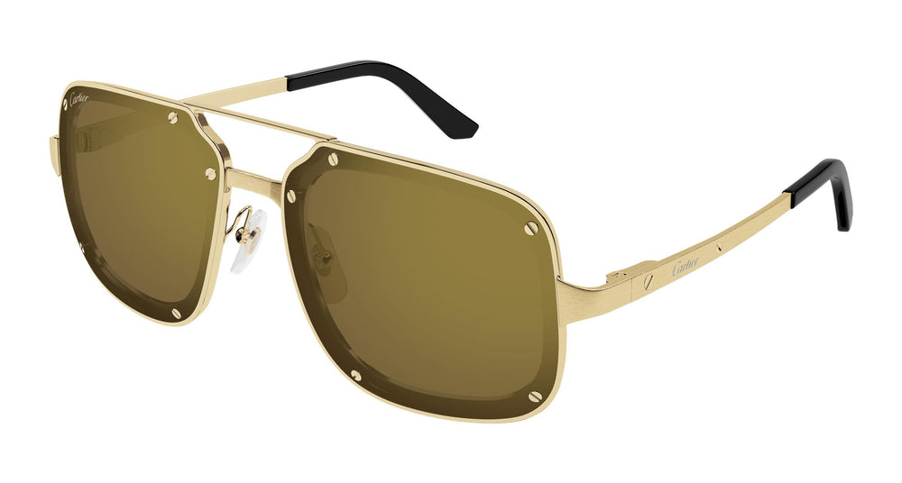 Cartier CT0194S 006 58
