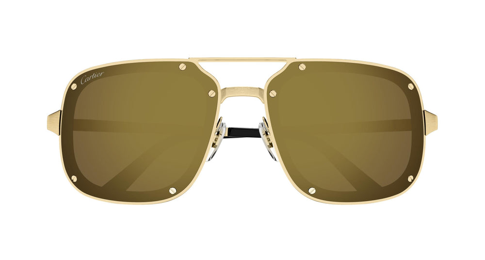 Cartier CT0194S 006 58
