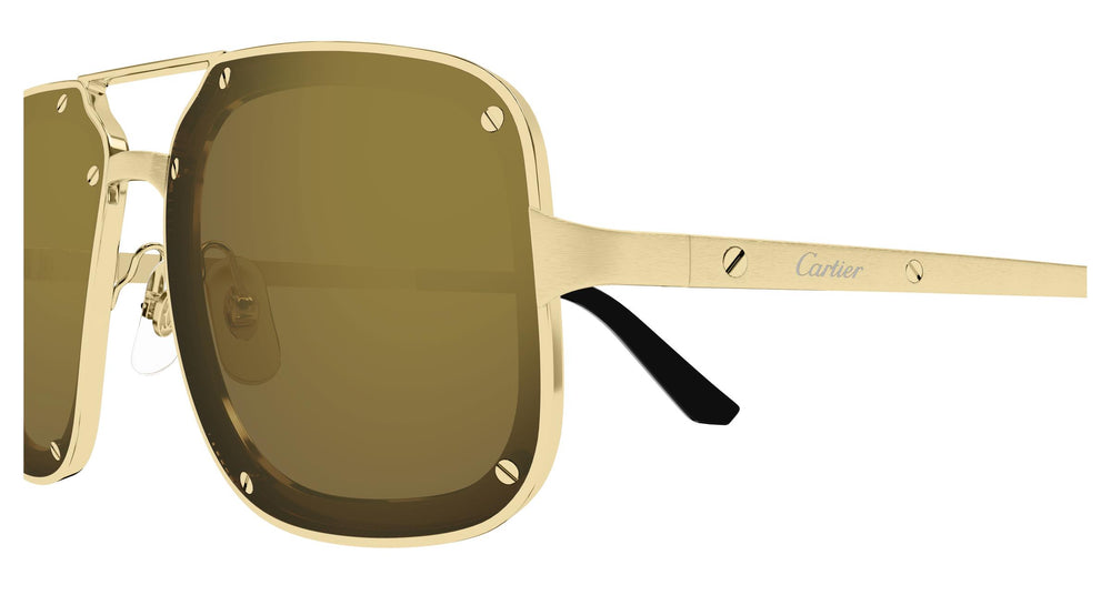 Cartier CT0194S 006 58