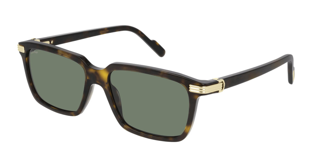 Cartier CT0220S 002 55