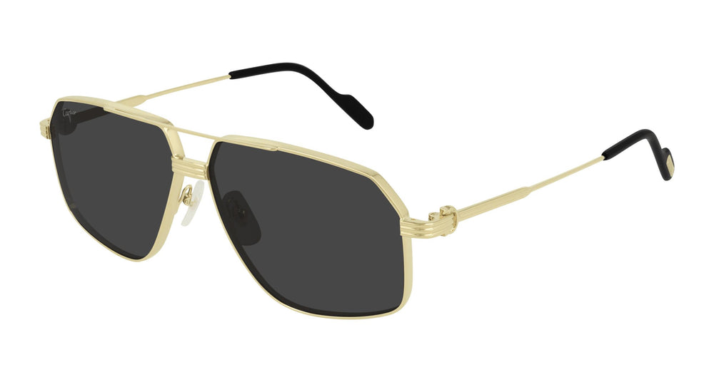 Cartier CT0270S 001 61