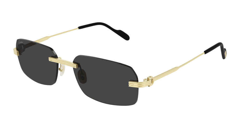 Cartier CT0271S 001 58