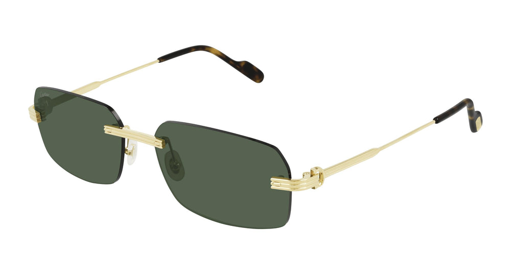 Cartier CT0271S 002 58