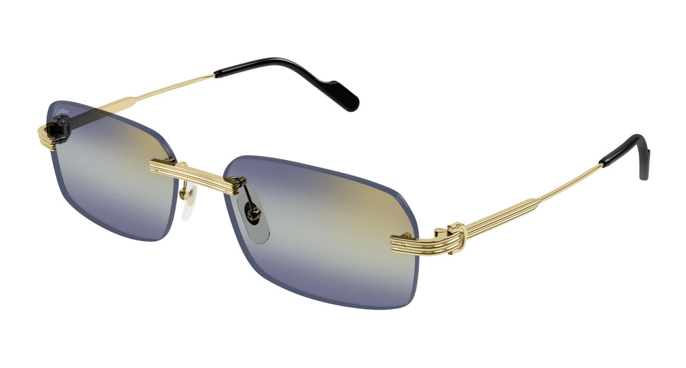 Cartier CT0271S 006 58