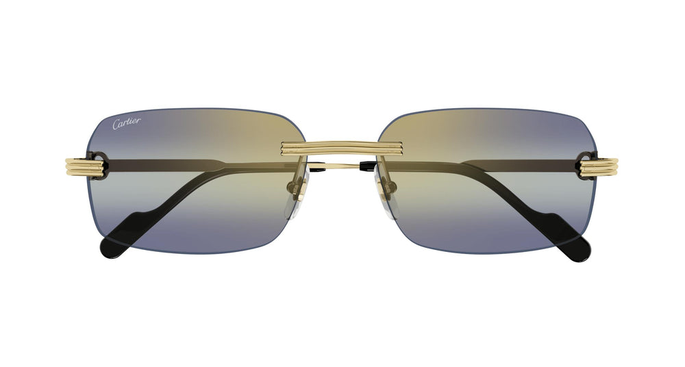 Cartier CT0271S 006 58